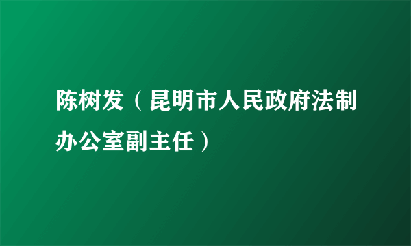 陈树发（昆明市人民政府法制办公室副主任）