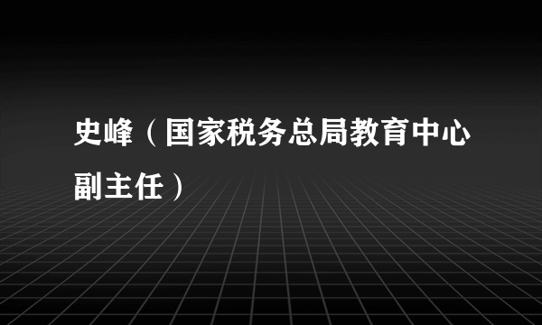 史峰（国家税务总局教育中心副主任）