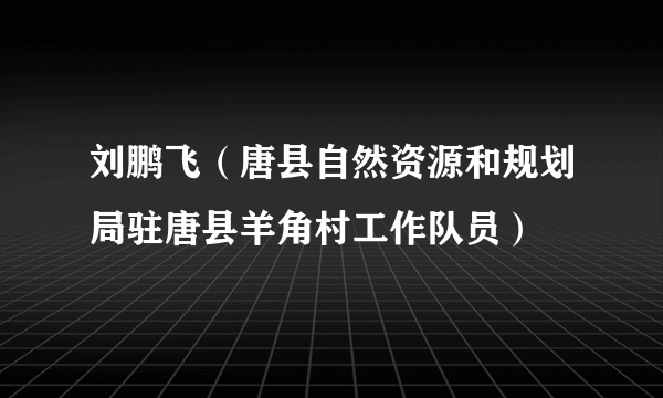 刘鹏飞（唐县自然资源和规划局驻唐县羊角村工作队员）