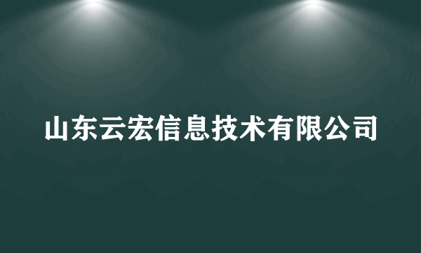 山东云宏信息技术有限公司