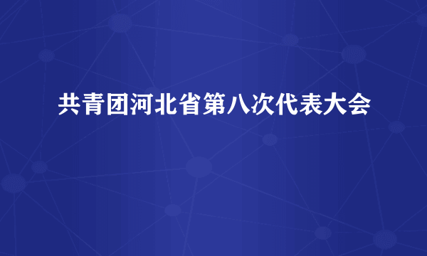 共青团河北省第八次代表大会