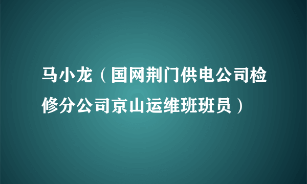 马小龙（国网荆门供电公司检修分公司京山运维班班员）