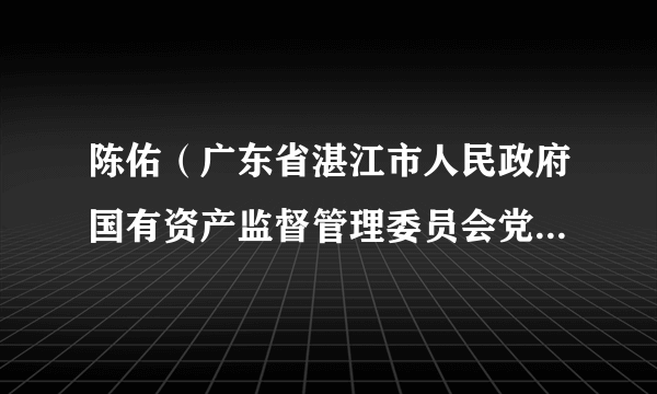 陈佑（广东省湛江市人民政府国有资产监督管理委员会党委委员）