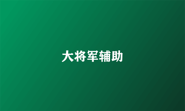 大将军辅助