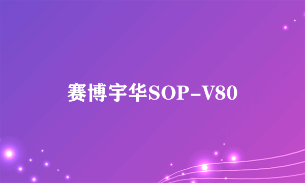 赛博宇华SOP-V80