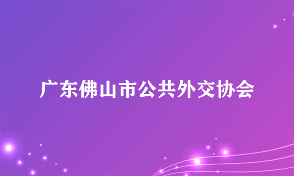 广东佛山市公共外交协会