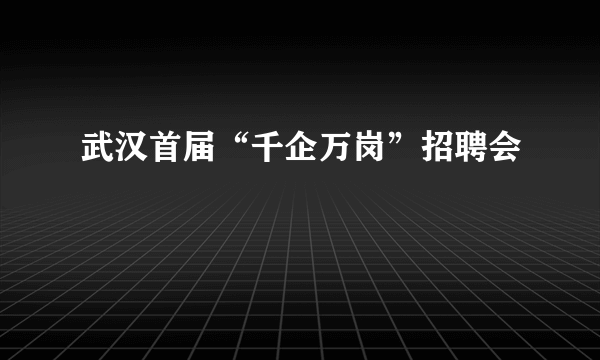 武汉首届“千企万岗”招聘会