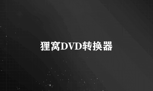 狸窝DVD转换器