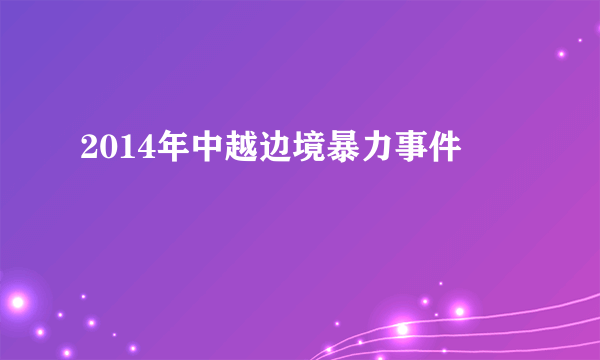 2014年中越边境暴力事件