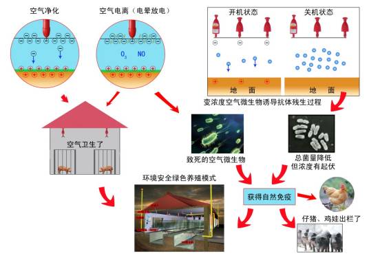 口蹄疫（接触性传染病）