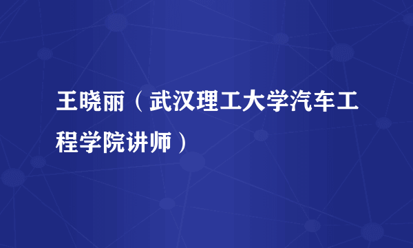 王晓丽（武汉理工大学汽车工程学院讲师）