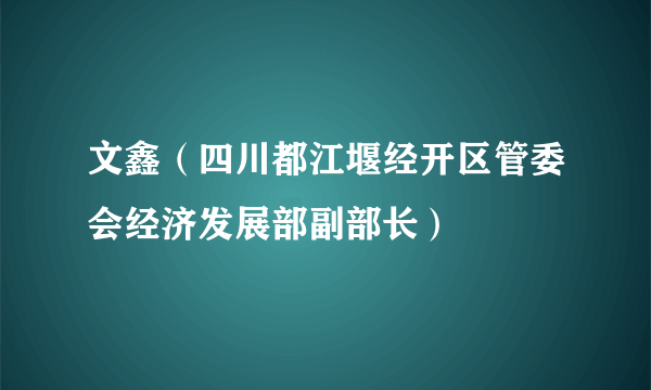 文鑫（四川都江堰经开区管委会经济发展部副部长）