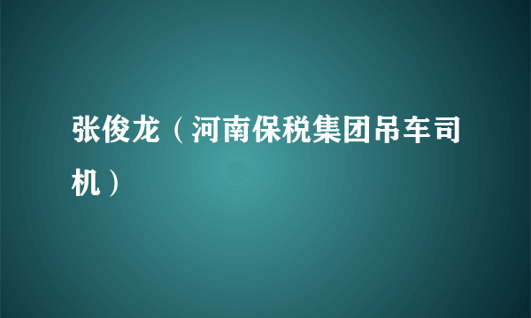 张俊龙（河南保税集团吊车司机）