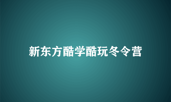 新东方酷学酷玩冬令营