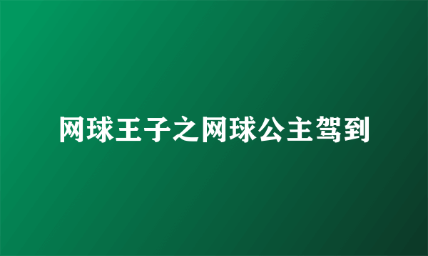 网球王子之网球公主驾到