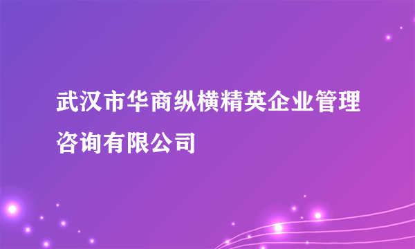 武汉市华商纵横精英企业管理咨询有限公司