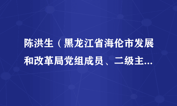 陈洪生（黑龙江省海伦市发展和改革局党组成员、二级主任科员）