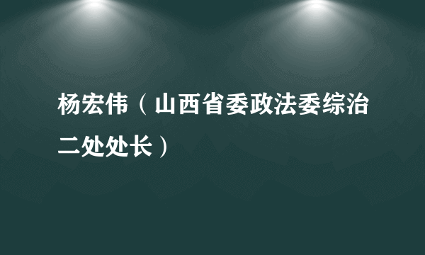 杨宏伟（山西省委政法委综治二处处长）