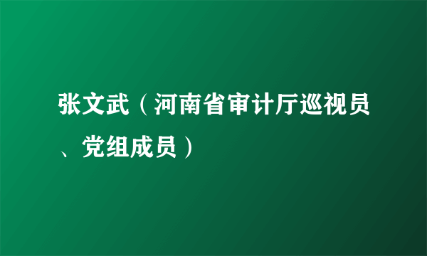 张文武（河南省审计厅巡视员、党组成员）