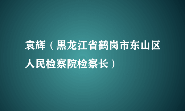 袁辉（黑龙江省鹤岗市东山区人民检察院检察长）