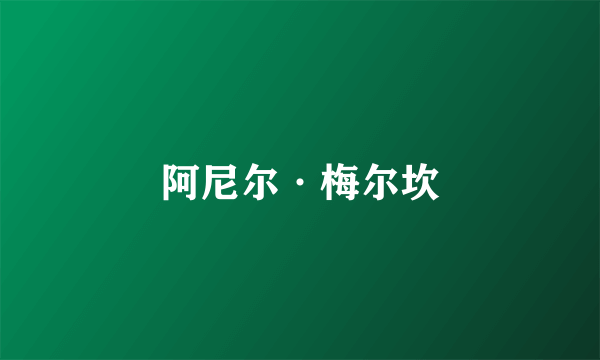 阿尼尔·梅尔坎