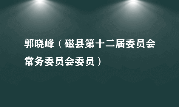 郭晓峰（磁县第十二届委员会常务委员会委员）