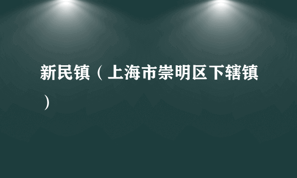 新民镇（上海市崇明区下辖镇）