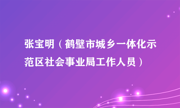 张宝明（鹤壁市城乡一体化示范区社会事业局工作人员）