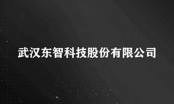 武汉东智科技股份有限公司