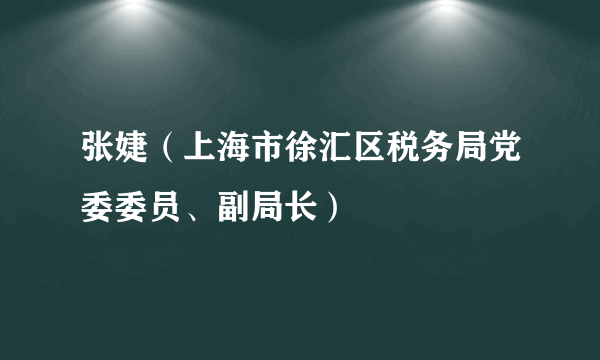 张婕（上海市徐汇区税务局党委委员、副局长）