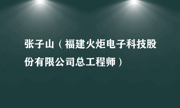 张子山（福建火炬电子科技股份有限公司总工程师）