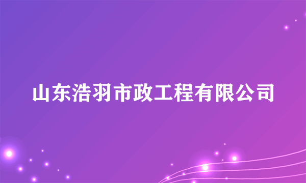 山东浩羽市政工程有限公司