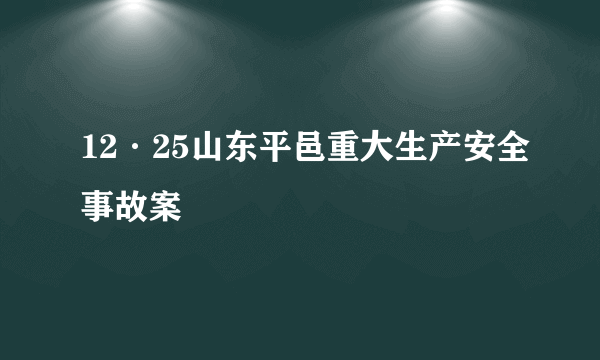 12·25山东平邑重大生产安全事故案