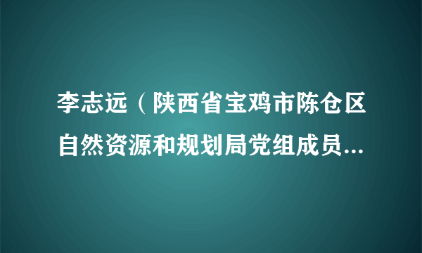 李志远（陕西省宝鸡市陈仓区自然资源和规划局党组成员、副局长）