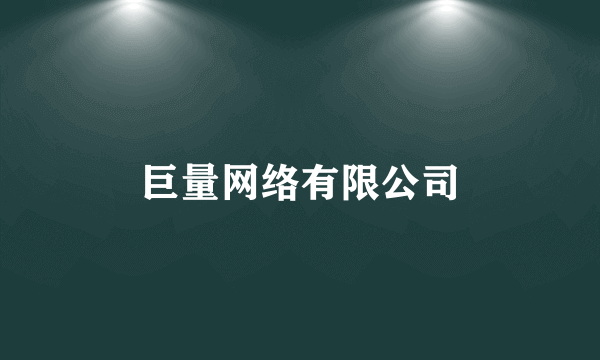 巨量网络有限公司