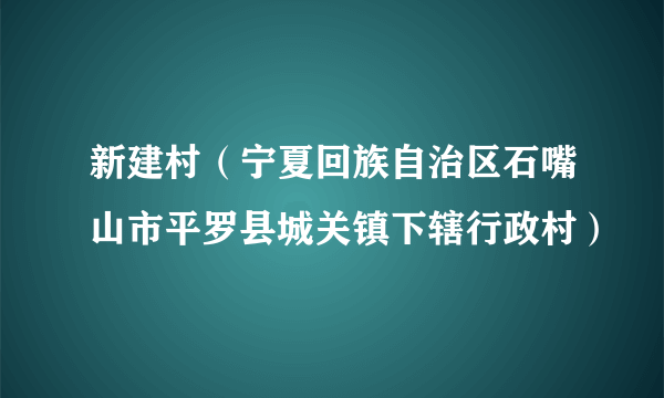 新建村（宁夏回族自治区石嘴山市平罗县城关镇下辖行政村）