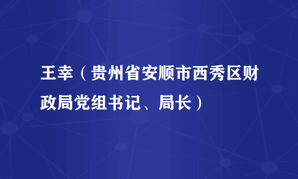 王幸（贵州省安顺市西秀区财政局党组书记、局长）