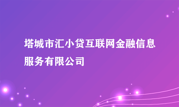 塔城市汇小贷互联网金融信息服务有限公司