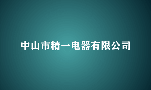 中山市精一电器有限公司