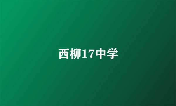 西柳17中学