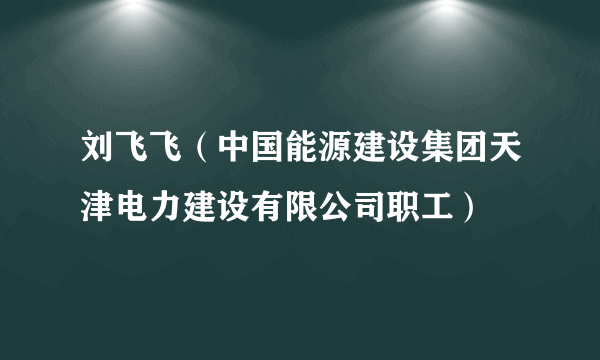 刘飞飞（中国能源建设集团天津电力建设有限公司职工）