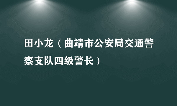 田小龙（曲靖市公安局交通警察支队四级警长）