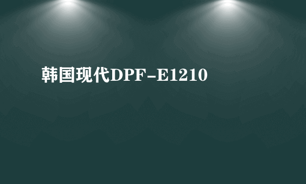 韩国现代DPF-E1210