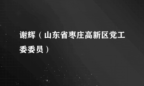 谢辉（山东省枣庄高新区党工委委员）