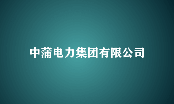 中蒲电力集团有限公司