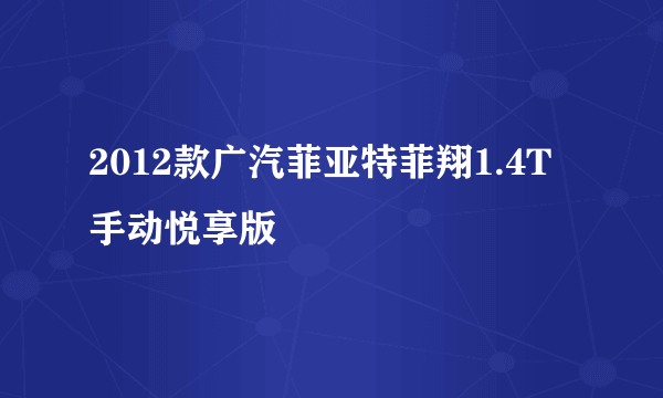 2012款广汽菲亚特菲翔1.4T手动悦享版