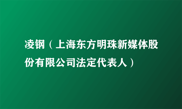 凌钢（上海东方明珠新媒体股份有限公司法定代表人）