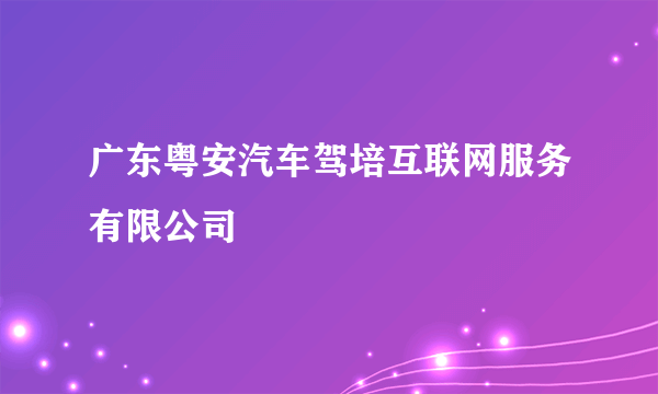 广东粤安汽车驾培互联网服务有限公司