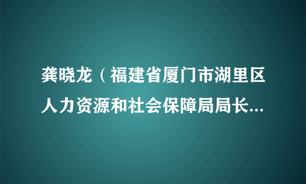 龚晓龙（福建省厦门市湖里区人力资源和社会保障局局长助理（挂职））