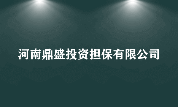 河南鼎盛投资担保有限公司